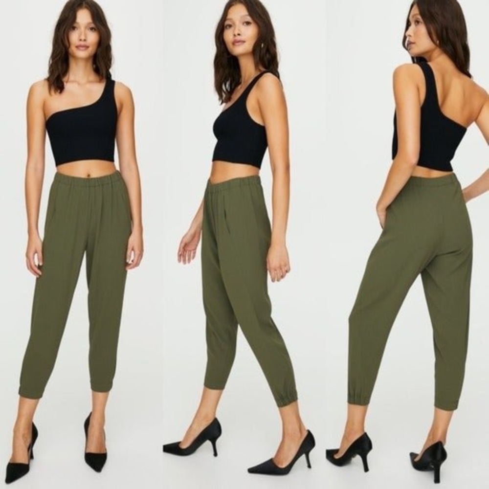 ARITZIA DEXTER PANT